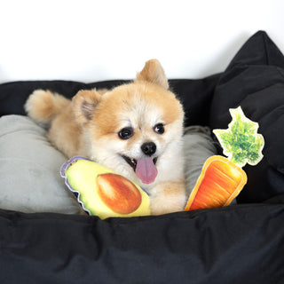 Avocado 6.5" Canvas Dog