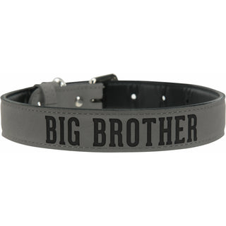 Big Brother 16" PU Leather Pet Collar