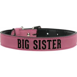 Big Sister 21" PU Leather Pet Collar
