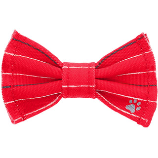 Red Striped 3" x 1.75" Canvas Pet Bow Tie