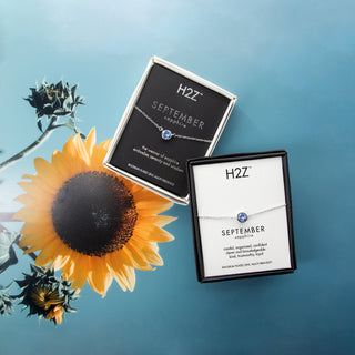 Liza Birthstone January Garnet 17"-18.5" Necklace with 0.25" Crystal Pendant made from Austrian Crystals