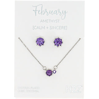 February Amethyst 16.5"-18.5" Birthstone Jewelry Gift Set