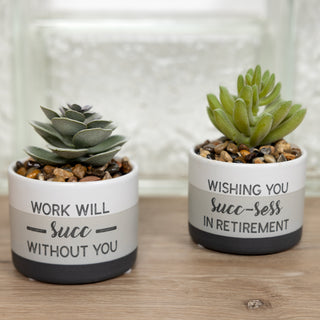 Will Succ Artificial Potted Plant