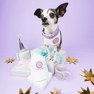 PinkTie Dye Filled Logo 7" x 5" Canvas Slip on Pet Bandana