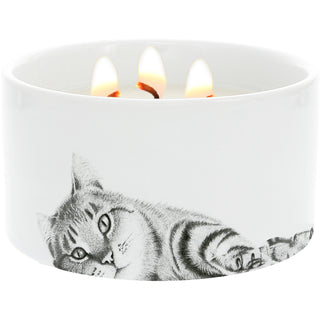 Cat 10 oz - 100% Soy Wax Reveal Triple Wick Candle
Scent: Tranquility