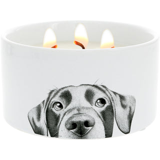 Dog 10 oz - 100% Soy Wax Reveal Triple Wick Candle
Scent: Tranquility