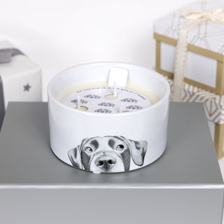 Dog 10 oz - 100% Soy Wax Reveal Triple Wick Candle
Scent: Tranquility