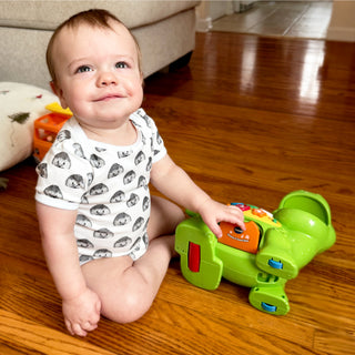 Hedgehogs 0-6 Months Bodysuit