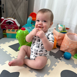 Farm Animals 0-6 Months Bodysuit