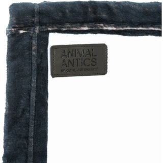 Cat 50" x 60" Royal Plush Blanket