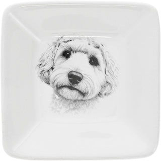 Pawsome 2.5" Trinket Dish & 5mm Cubic Zirconia Stud Earring Set