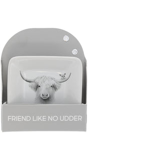 Friend 2.5" Trinket Dish & 5mm Cubic Zirconia Stud Earring Set