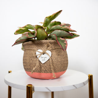 Love You Mom 8.5" Flower Pot