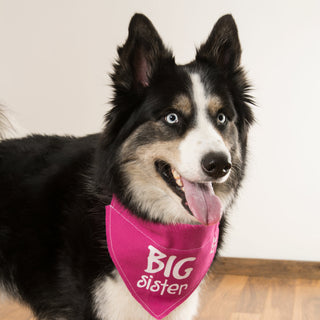 Big Sister 12" x 8" Canvas Slip on Pet Bandana