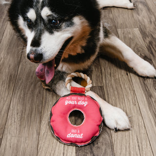 Dog and a Donut 10.75" Canvas Dog Toy on Rope