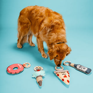 Dog and a Donut 10.75" Canvas Dog Toy on Rope