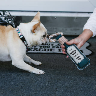 Drinking Alone 13" Canvas Dog Toy on Rope