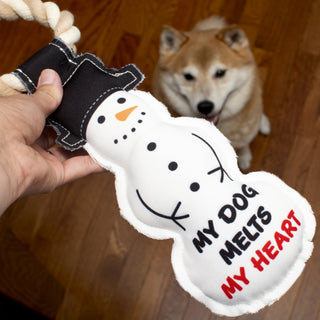 Melts My Heart 12" Canvas Dog Toy on Rope