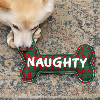 Naughty or Nice 11" Canvas Dog Toy on Rope