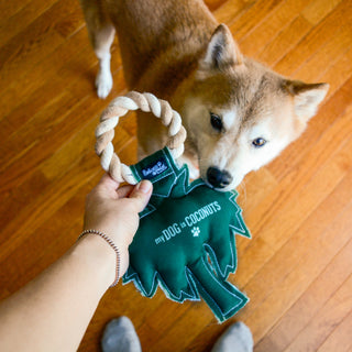 Coconuts 10" Canvas Dog Toy on Rope