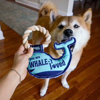 Whale-y Loved 8" Canvas Dog Toy on Rope