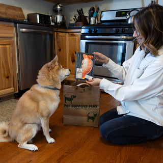 Sushi 7.5" Canvas Dog