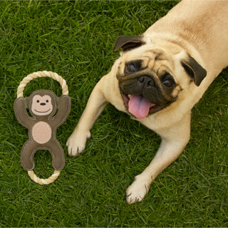 Wild 14" Canvas Dog Toy on Rope