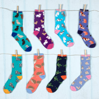 Bunnies Unisex Socks