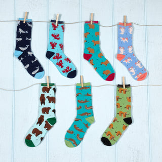 Sloths Unisex Socks