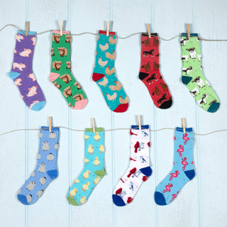 Pigs Unisex Socks