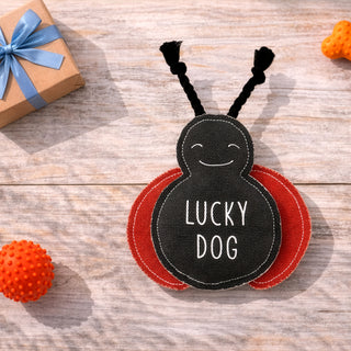 Lucky 9" Dog Toy on Rope