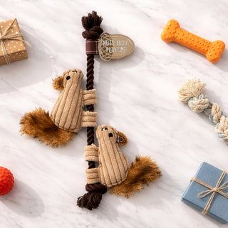 Nuts 15.5" Dog Toy on Rope