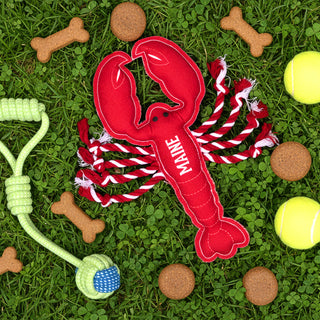 Maine Lobster 12" Dog Toy on Rope
