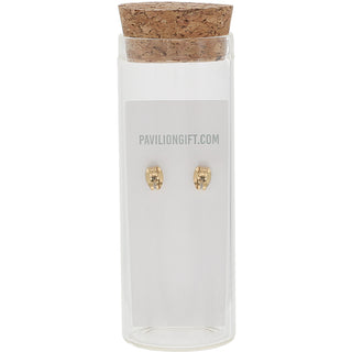 Love You Aunt 14K Gold Plated Earring in a Bottle