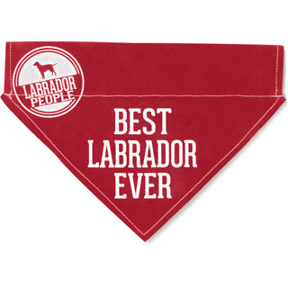 Best Labrador 12" x 8" Canvas Slip on Pet Bandana