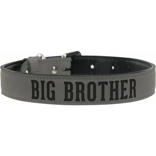S/M Big Brother 16" PU Leather Pet Collar