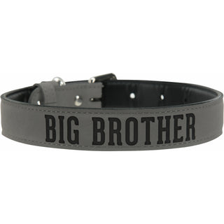 S/M Big Brother 16" PU Leather Pet Collar