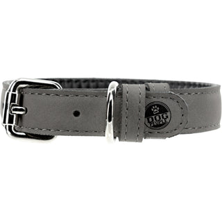 S/M Big Brother 16" PU Leather Pet Collar