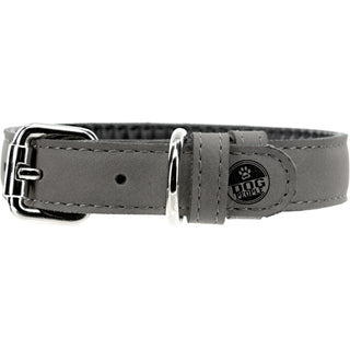 S/M Big Brother 16" PU Leather Pet Collar