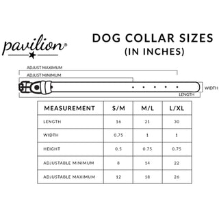 S/M Big Brother 16" PU Leather Pet Collar