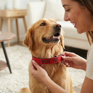 M/L Woof 21" PU Leather Pet Collar