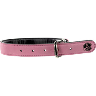 Princess 21" PU Leather Pet Collar