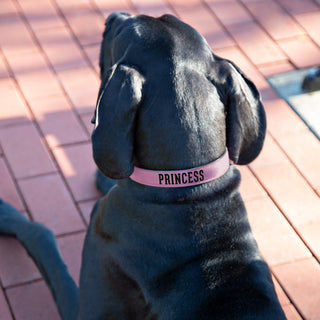 L/XL Princess 30" PU Leather Pet Collar