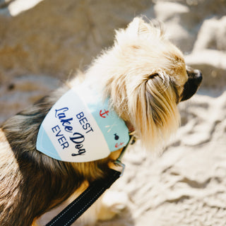 Lake Dog 7" x 5" Canvas Slip on Pet Bandana