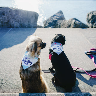 Lake Dog 7" x 5" Canvas Slip on Pet Bandana