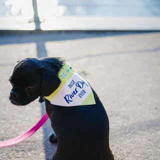 River Dog 7" x 5" Canvas Slip on Pet Bandana