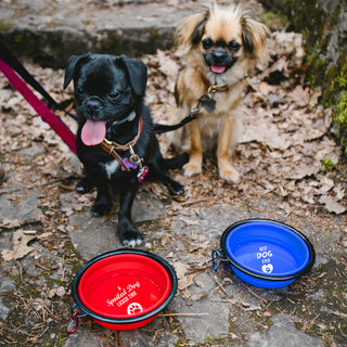 Spoiled Dog 7" Collapsible Silicone Pet Bowl
