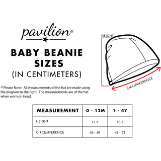 River Heathered Gray Beanie (0-12 Months)
