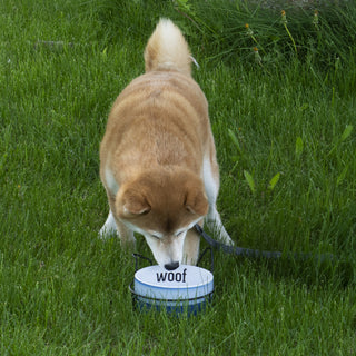 Woof 27 oz Ceramic Pet Bowl with Metal Stand