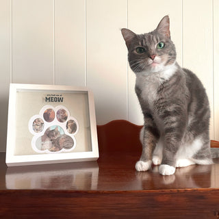 Meow 9" Paw Print Shadowbox Frame